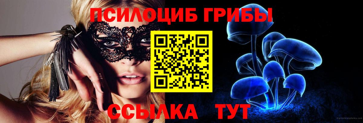 Елабуга  Псилоцибиновые грибы мухоморы  Вход с VPN 